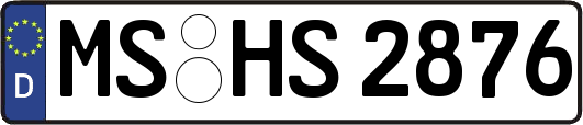 MS-HS2876