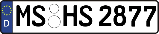 MS-HS2877