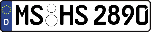 MS-HS2890