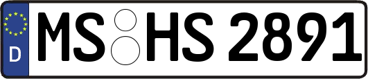 MS-HS2891