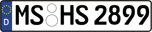 MS-HS2899