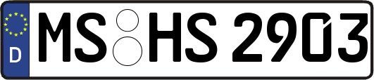 MS-HS2903