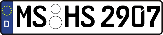 MS-HS2907