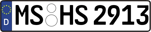 MS-HS2913