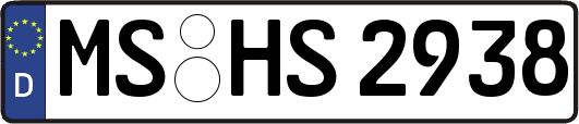 MS-HS2938