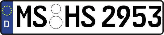 MS-HS2953