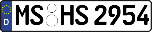 MS-HS2954