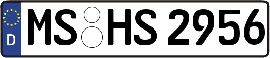 MS-HS2956