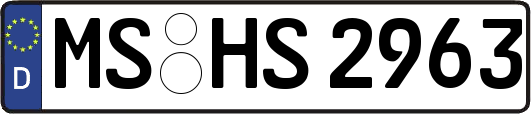 MS-HS2963