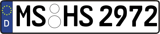 MS-HS2972
