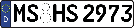 MS-HS2973