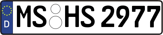 MS-HS2977