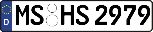 MS-HS2979