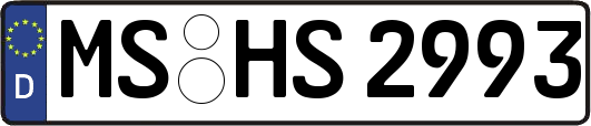 MS-HS2993