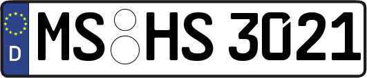 MS-HS3021
