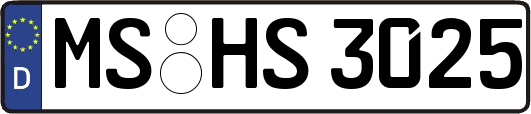 MS-HS3025