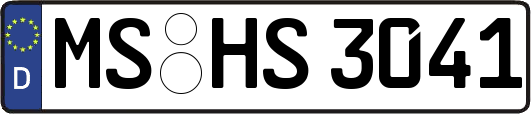 MS-HS3041