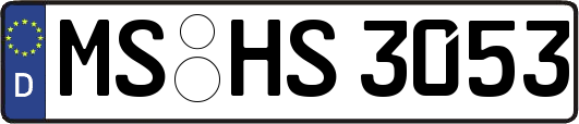 MS-HS3053
