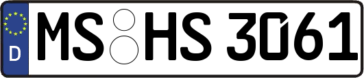 MS-HS3061