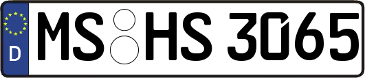 MS-HS3065