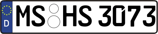 MS-HS3073