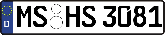 MS-HS3081