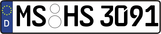 MS-HS3091
