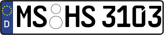 MS-HS3103