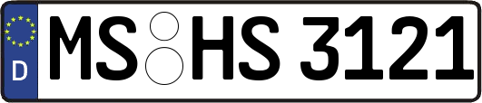 MS-HS3121