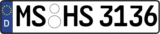 MS-HS3136