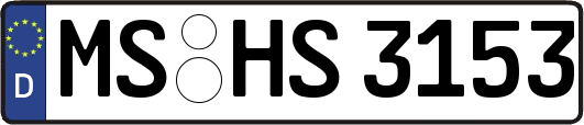 MS-HS3153