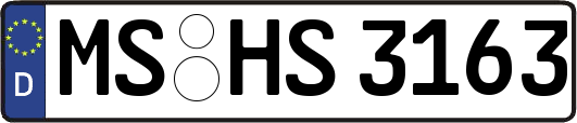 MS-HS3163