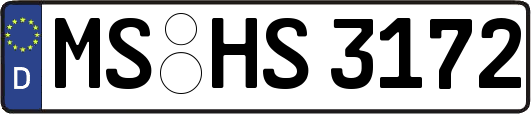 MS-HS3172