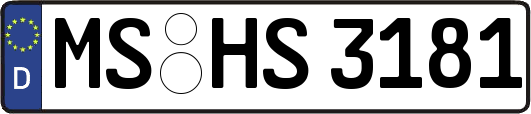 MS-HS3181