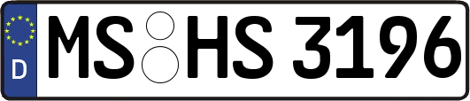 MS-HS3196