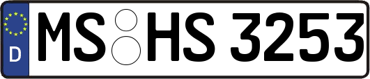 MS-HS3253