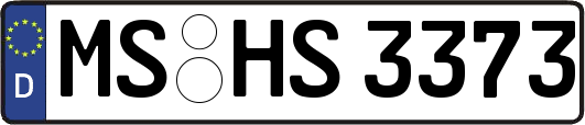 MS-HS3373