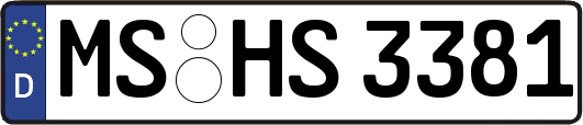MS-HS3381
