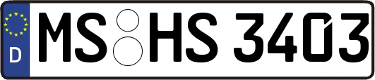 MS-HS3403