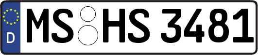 MS-HS3481