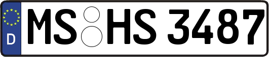 MS-HS3487