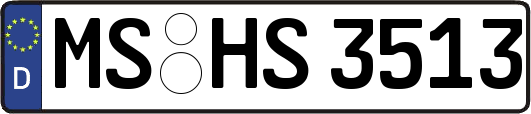 MS-HS3513
