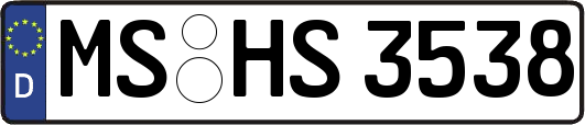 MS-HS3538