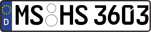 MS-HS3603