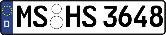 MS-HS3648