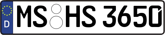 MS-HS3650