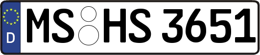 MS-HS3651