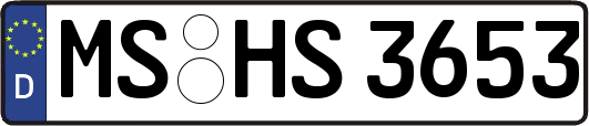 MS-HS3653