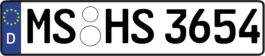 MS-HS3654