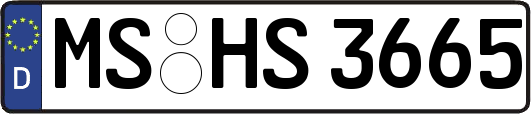 MS-HS3665